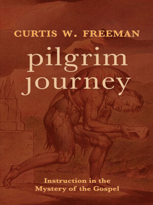cover image of Pilgrim Journey